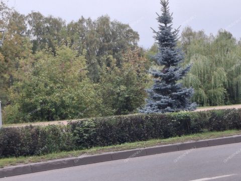 2-komnatnaya-ul-shimborskogo-d-6 фото