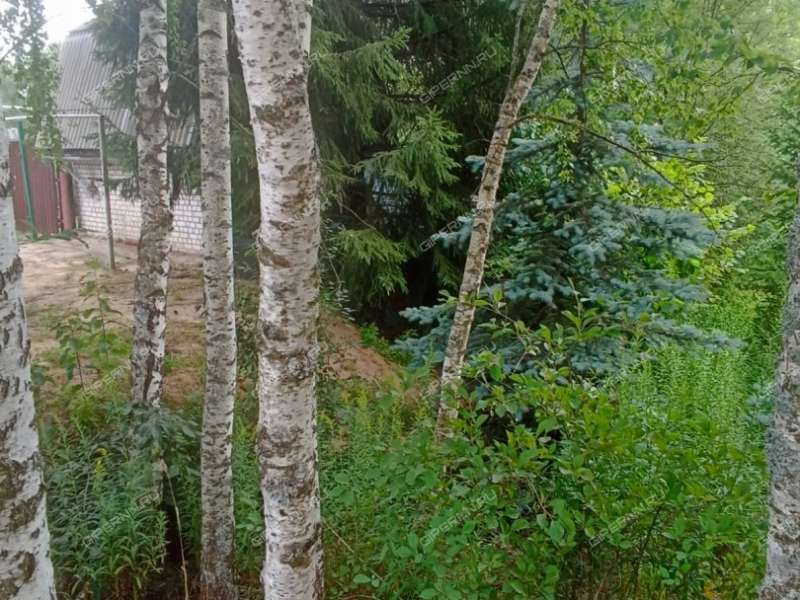 земельный участок 10 соток село Редькино