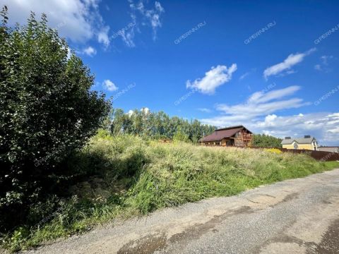 derevnya-shumilovo-bogorodskiy-municipalnyy-okrug фото