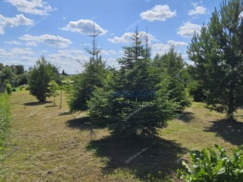 derevnya-ankudinovka-kstovskiy-rayon фото