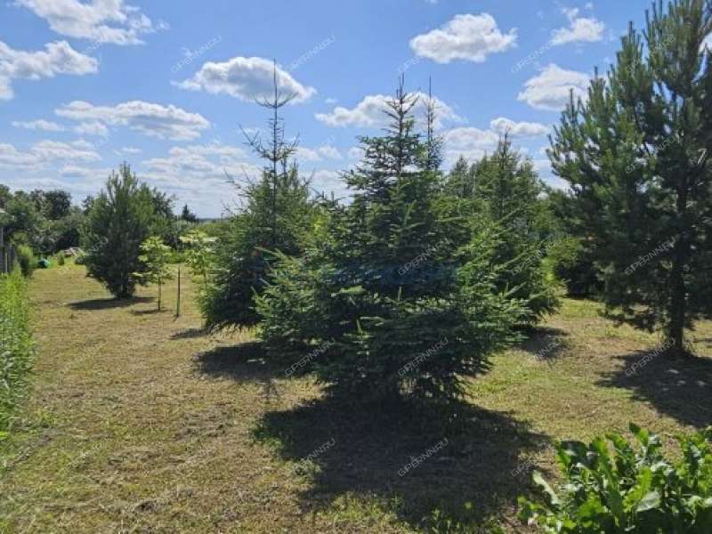 земельный участок 10,5 сотки улица Мира деревня Анкудиновка