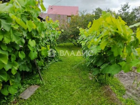 dom-selo-vazyanka-spasskiy-rayon фото