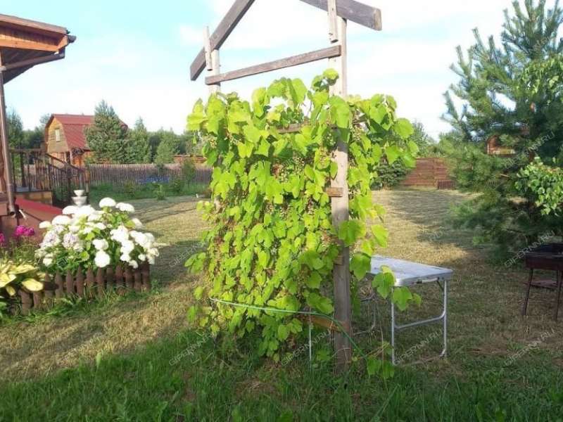 дача на Луговая деревня Яблоново