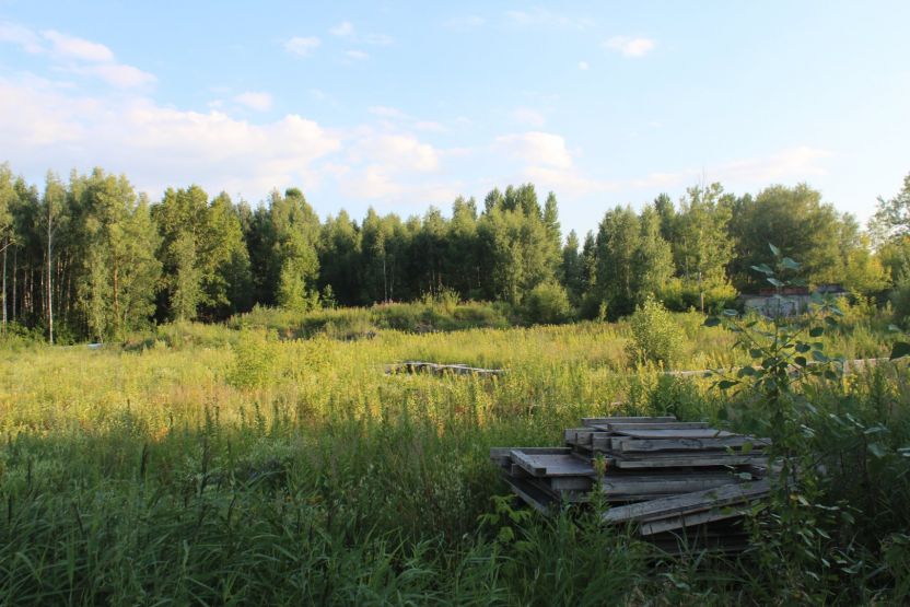 Фото: Ксения Ражева / gipernn.ru