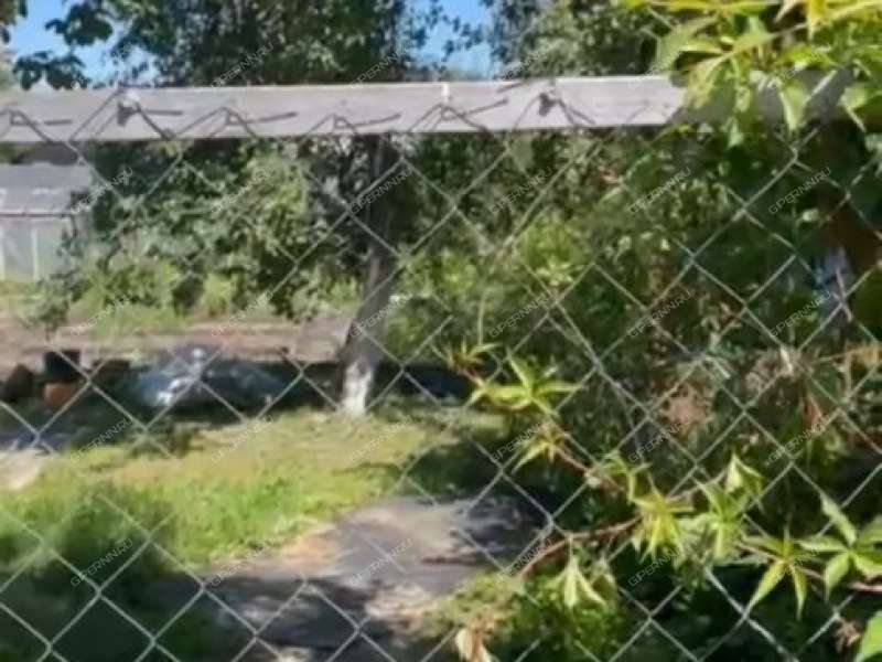 дача на  деревня Малые Могильцы