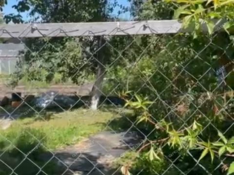 dacha-derevnya-malye-mogilcy-balahninskiy-municipalnyy-okrug фото