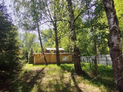 derevnya-rozhnovo-gorodskoy-okrug-bor фото