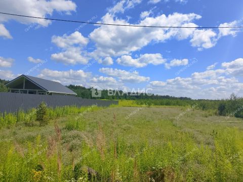 derevnya-inyutino-bogorodskiy-municipalnyy-okrug фото