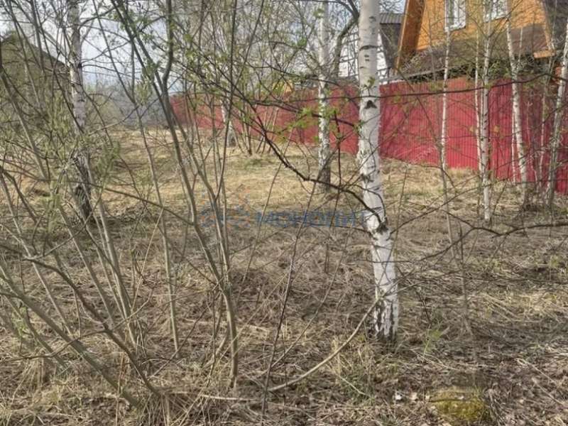 земельный участок 20 соток Васильковая улица деревня Инютино