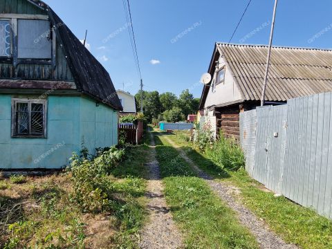 dacha-derevnya-pochinok-chernyshihinskiy-selsovet-kstovskiy-rayon фото