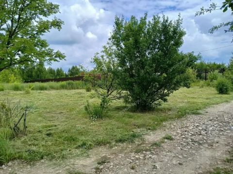 derevnya-krutaya-kstovskiy-rayon фото