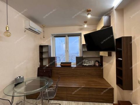 1-komnatnaya-derevnya-afonino-kstovskiy-rayon фото