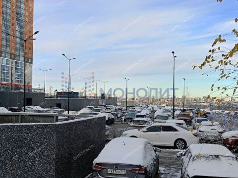 1-komnatnaya-derevnya-ankudinovka-kstovskiy-rayon фото