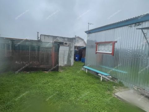 derevnya-vybolovo-bogorodskiy-municipalnyy-okrug фото