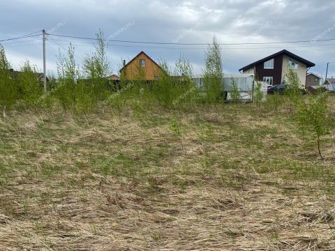 selo-efimevo-bogorodskiy-municipalnyy-okrug фото