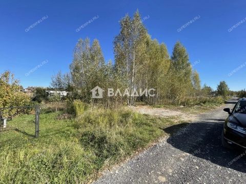 sherstnevo-gorodskoy-okrug-bor фото
