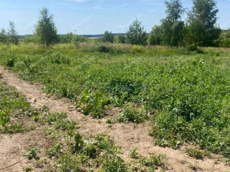 земельный участок 17,2 сотки - село Большое Мокрое