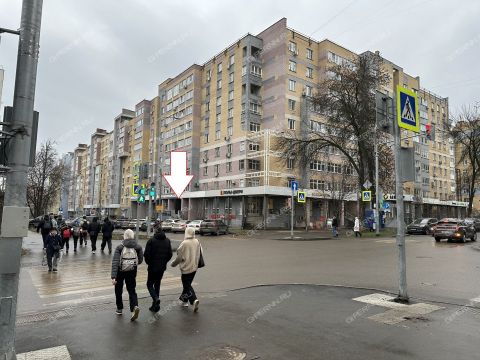 ul-izhorskaya-d-18 фото