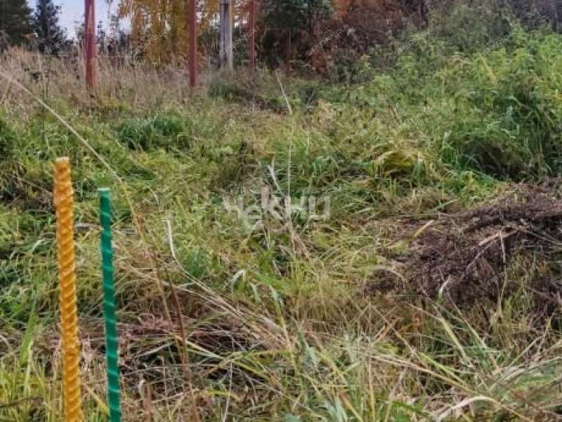 земельный участок 23,4 сотки село Кадницы