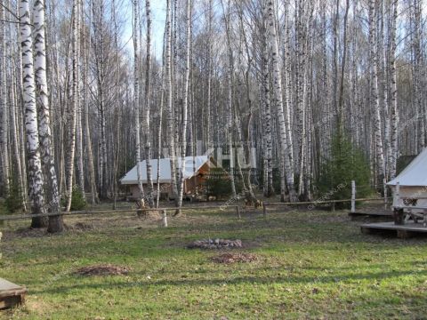 derevnya-kudrino-sokolskiy-gorodskoy-okrug фото