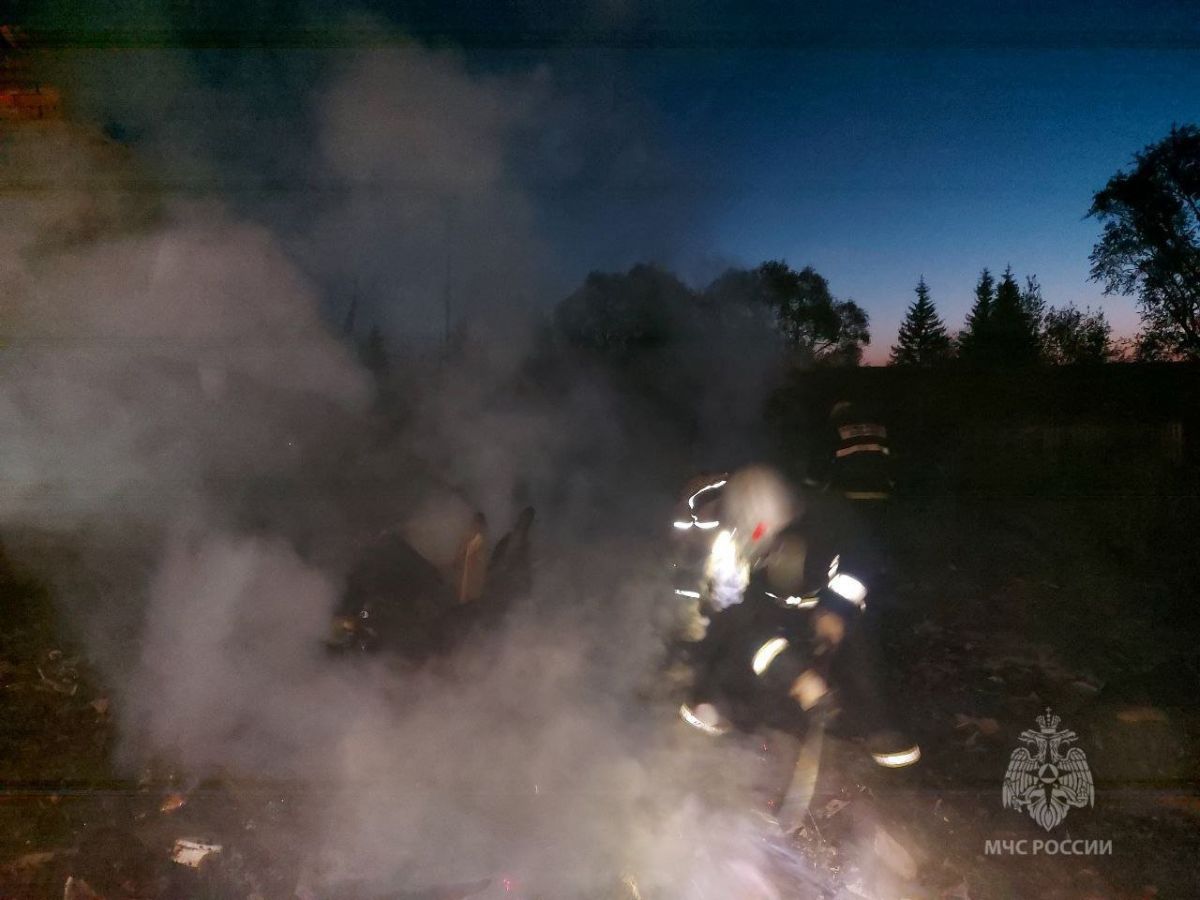 Мужчина и девочка погибли при пожаре в частном доме в Лукояновском округе