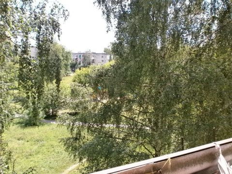 1-komnatnaya-gorod-bogorodsk-bogorodskiy-municipalnyy-okrug фото