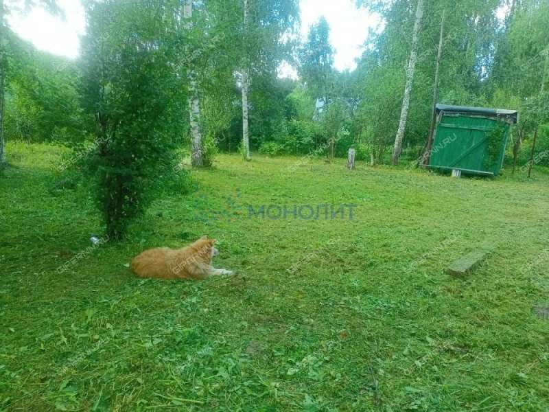 земельный участок под сельхоз назначение в городском округе Бор Нижегородской области