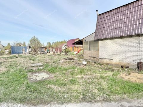dacha-rabochiy-poselok-gidrotorf-balahninskiy-municipalnyy-okrug фото