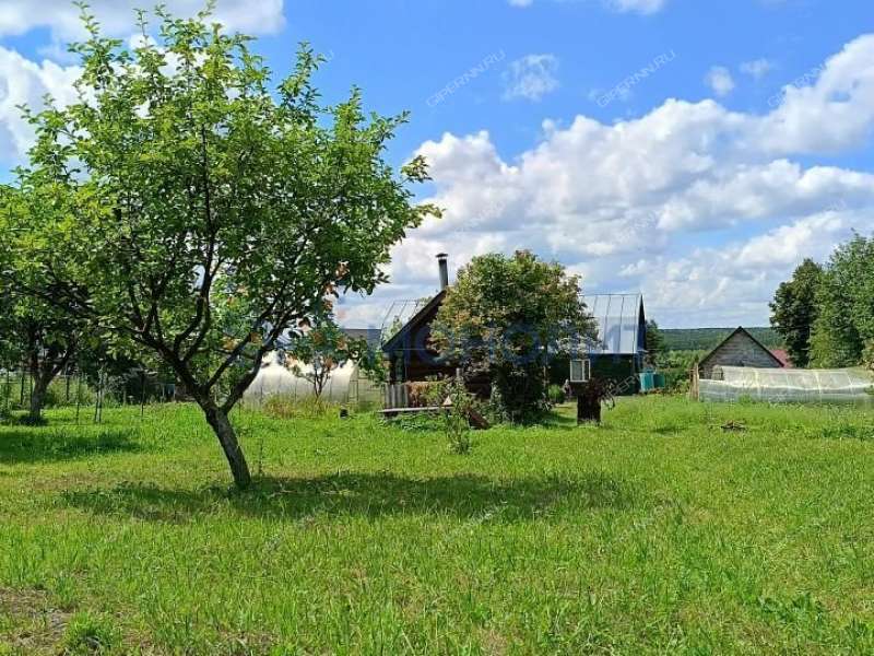 дача на Зелёной улице село Маргуша