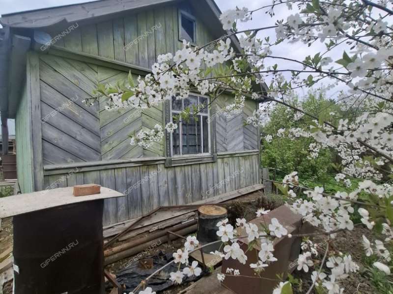 трёхкомнатная квартира на Школьная ул. дом 1 село Чернуха