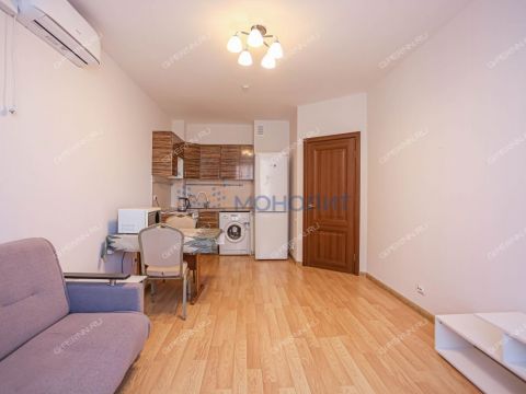 1-komnatnaya-derevnya-ankudinovka-kstovskiy-rayon фото