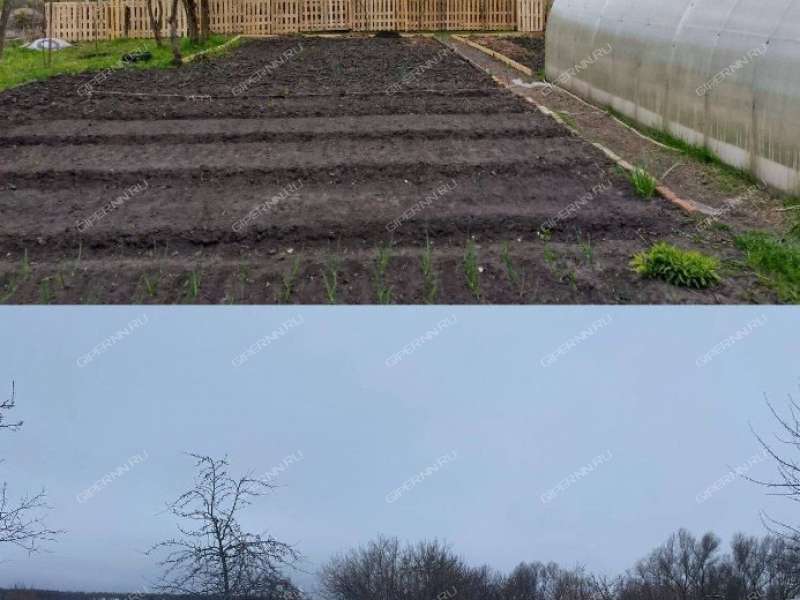 дом на Шоссейной улице село Богоявление