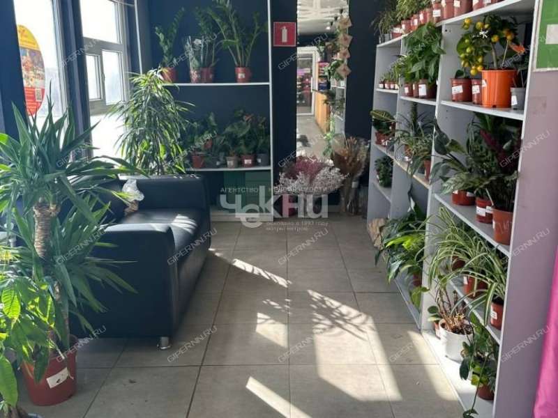 помещение под торговую площадь на улице Композитора Касьянова