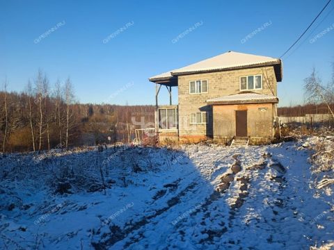 dom-derevnya-burcevo-bogorodskiy-municipalnyy-okrug фото