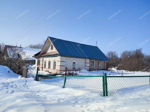 dom-selo-shava-kstovskiy-rayon фото