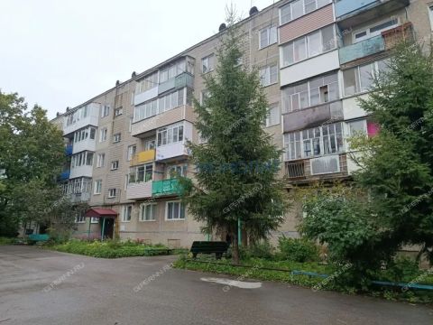 3-komnatnaya-gorod-semenov-semenovskiy-gorodskoy-okrug фото