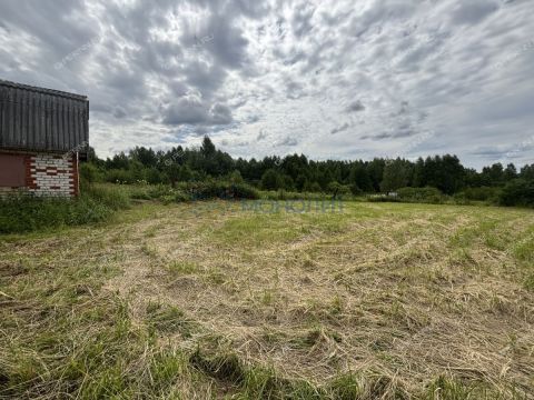 ryabinino-sad-gorodskoy-okrug-chkalovsk фото