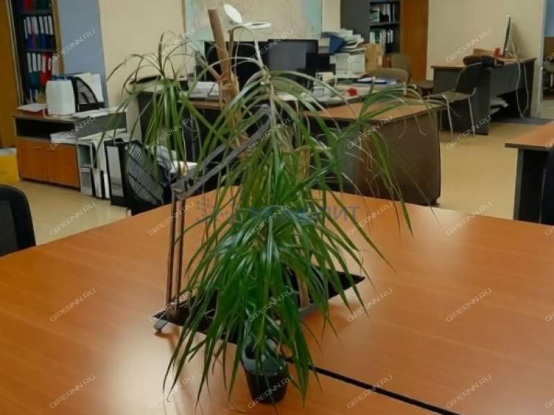 помещение под офис на Полтавской улице