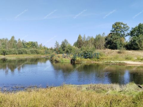 dom-derevnya-dorofeiha-semenovskiy-gorodskoy-okrug фото