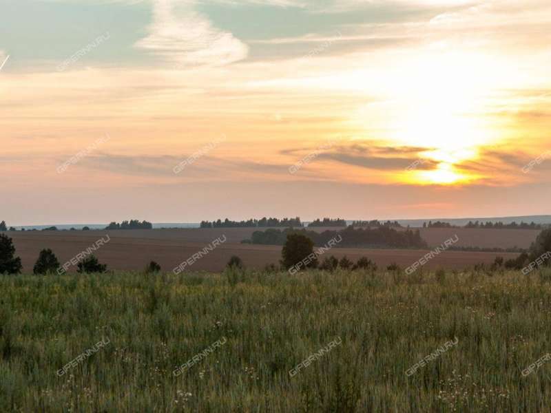 земельный участок 363 сотки Южная улица село Свобода