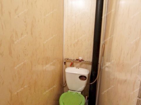 2-komnatnaya-derevnya-podlesovo-kstovskiy-rayon фото