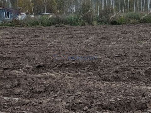 derevnya-berezovka-bogorodskiy-municipalnyy-okrug фото