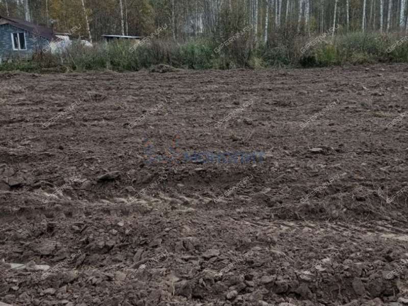 земельный участок 15 соток улица Космонавтов деревня Берёзовка