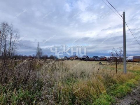 selo-kadnicy-kstovskiy-rayon фото