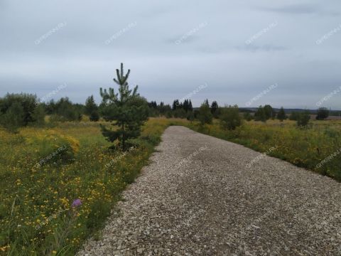 derevnya-kileley-bogorodskiy-municipalnyy-okrug фото