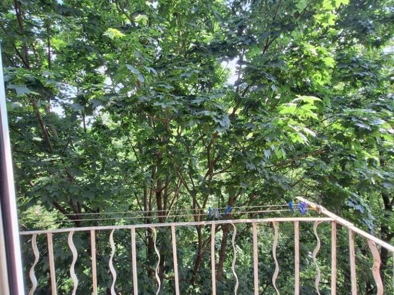 однокомнатная квартира на улице Бекетова дом 37