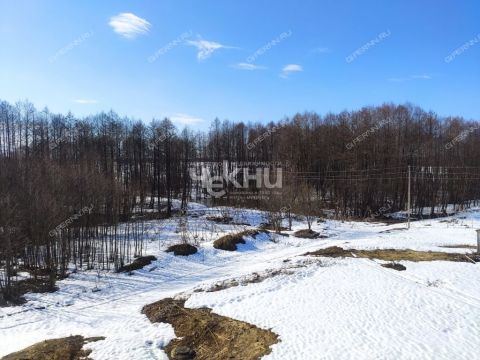 derevnya-maloe-chuhovo-gorodskoy-okrug-chkalovsk фото