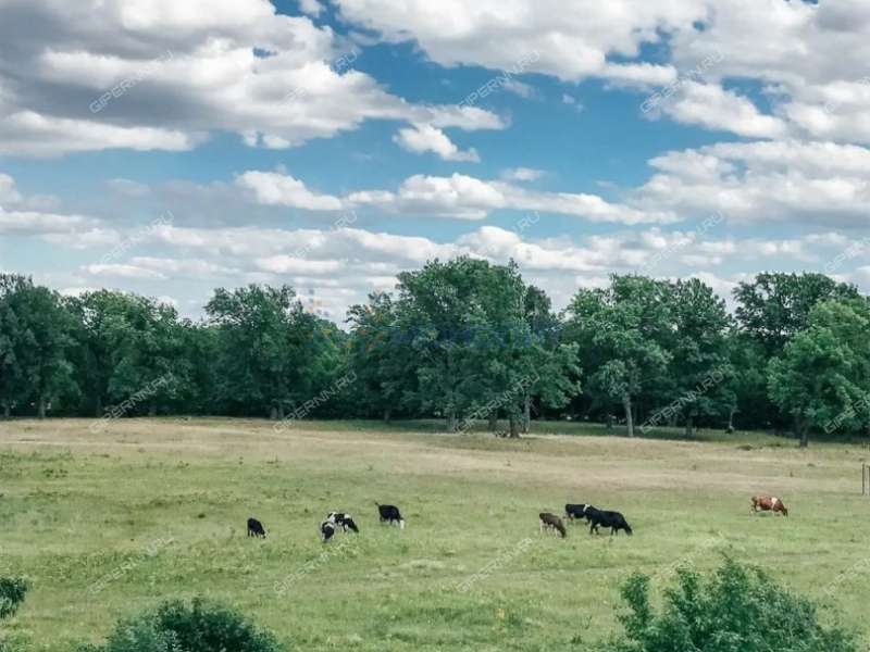 дача на дзержинец город Дзержинск