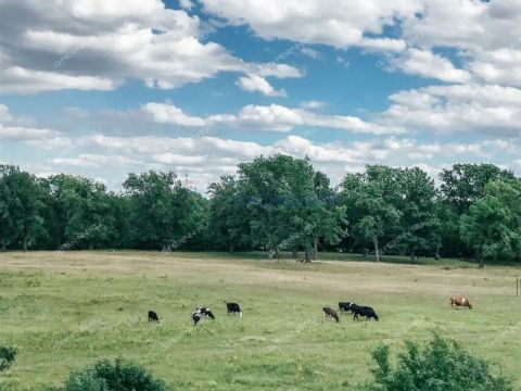 dacha-dzerzhinec-ter-snt-gorodskoy-okrug-dzerzhinsk фото