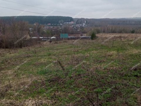 derevnya-nepecino-bogorodskiy-municipalnyy-okrug фото
